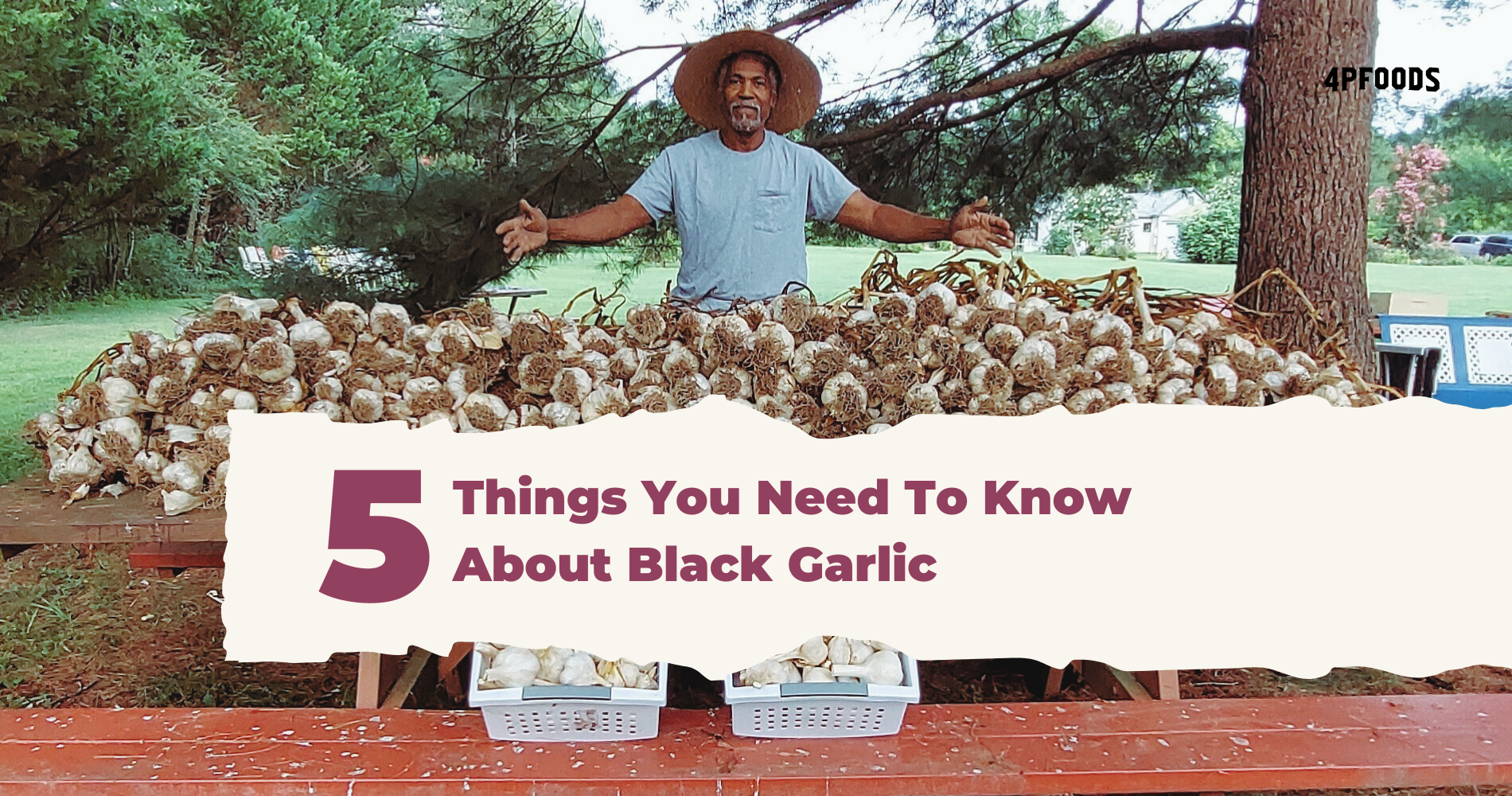 5 Things You Need To Know About Black Garlic image