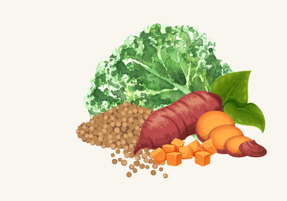 Simple Sweet Potato And Kale Grain Bowl with Sesame Tahini Dressing Lunch Recipe image